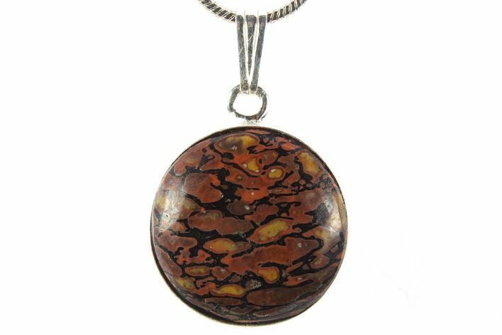 Dinosaur Bone (Gembone) Pendant - Includes Chain #327645